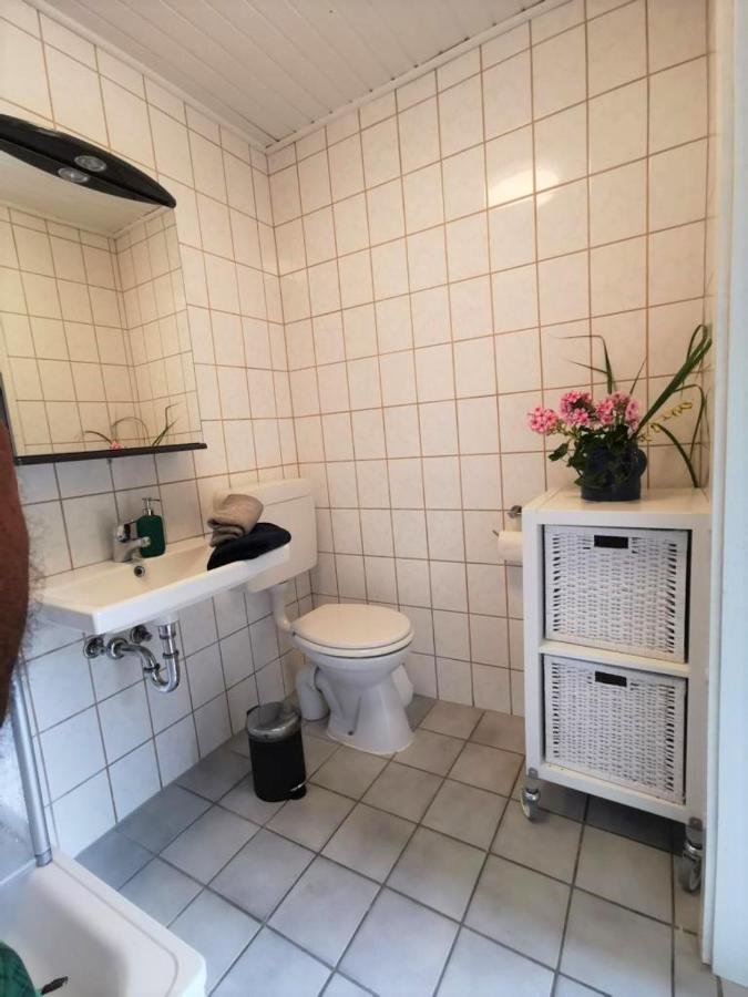14 Bienenstock - Hof Wiesengrund Parchtitz Dış mekan fotoğraf